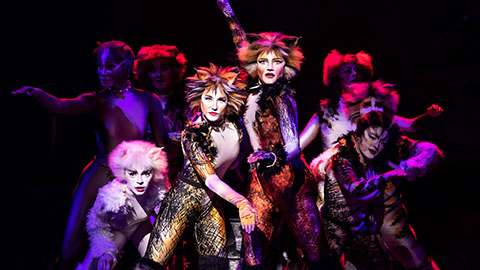 Cats , The John F. Kennedy Center for the Performing Arts